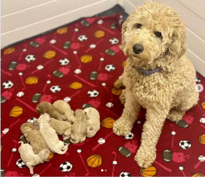 5. All moms are familiar with that face