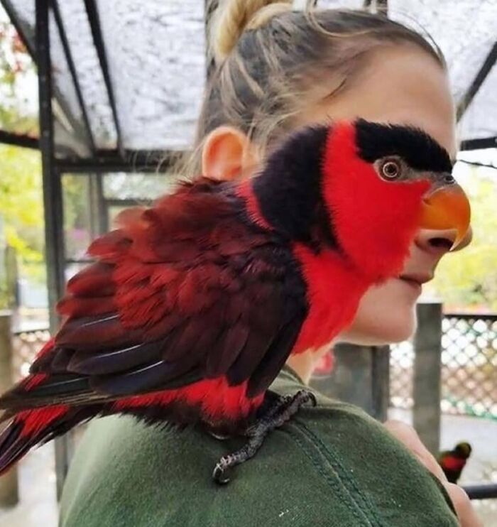 9. That moment you and your bird accidentally merge into one majestic creature.
