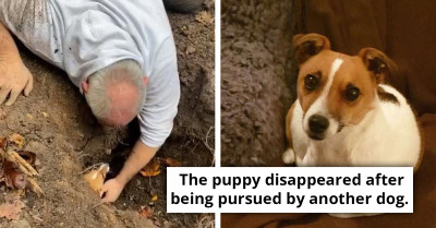 Man's Eyes Glisten With Joy As He Reunites With His Beloved Dog