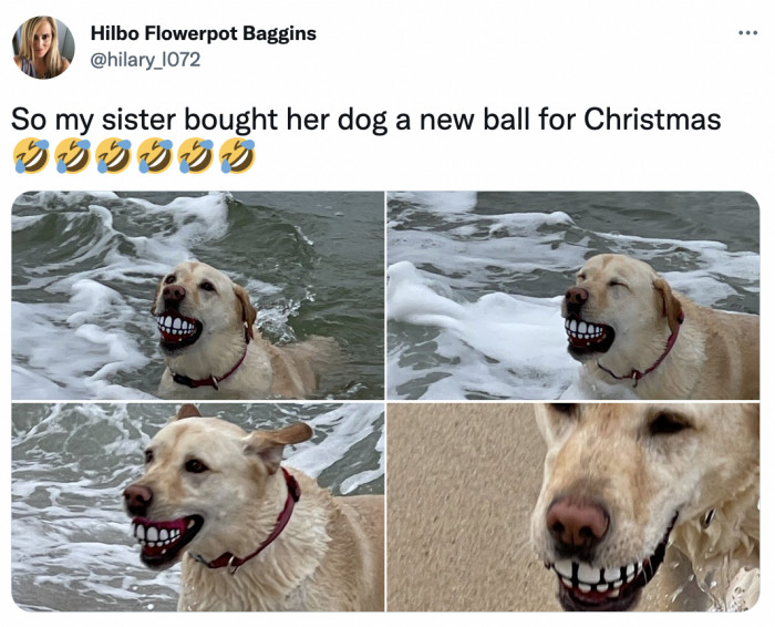 24. Where's the Amazon link, you cowards!