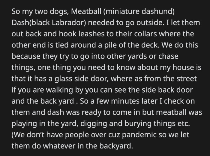 She said she deserved Meatball because her son was lonely. OP snapped at the woman while the child tried to harshly pet Meatball who doesn't even like small children.