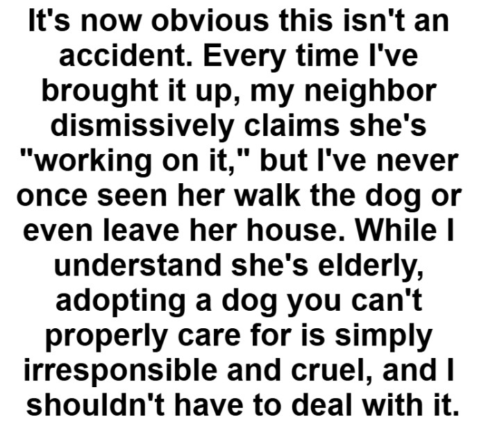 Perhaps the dog owner isn’t addressing the issue, as they continue to find dog poop in their yard.