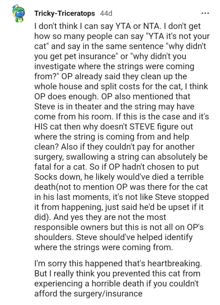 Swallowing a string can be so fatal for a cat