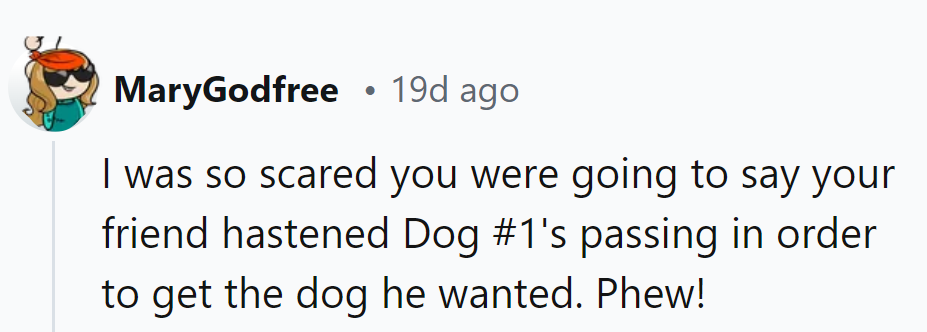Thank goodness it's just a tale of puppy love, not 'paws'-itive foul play!