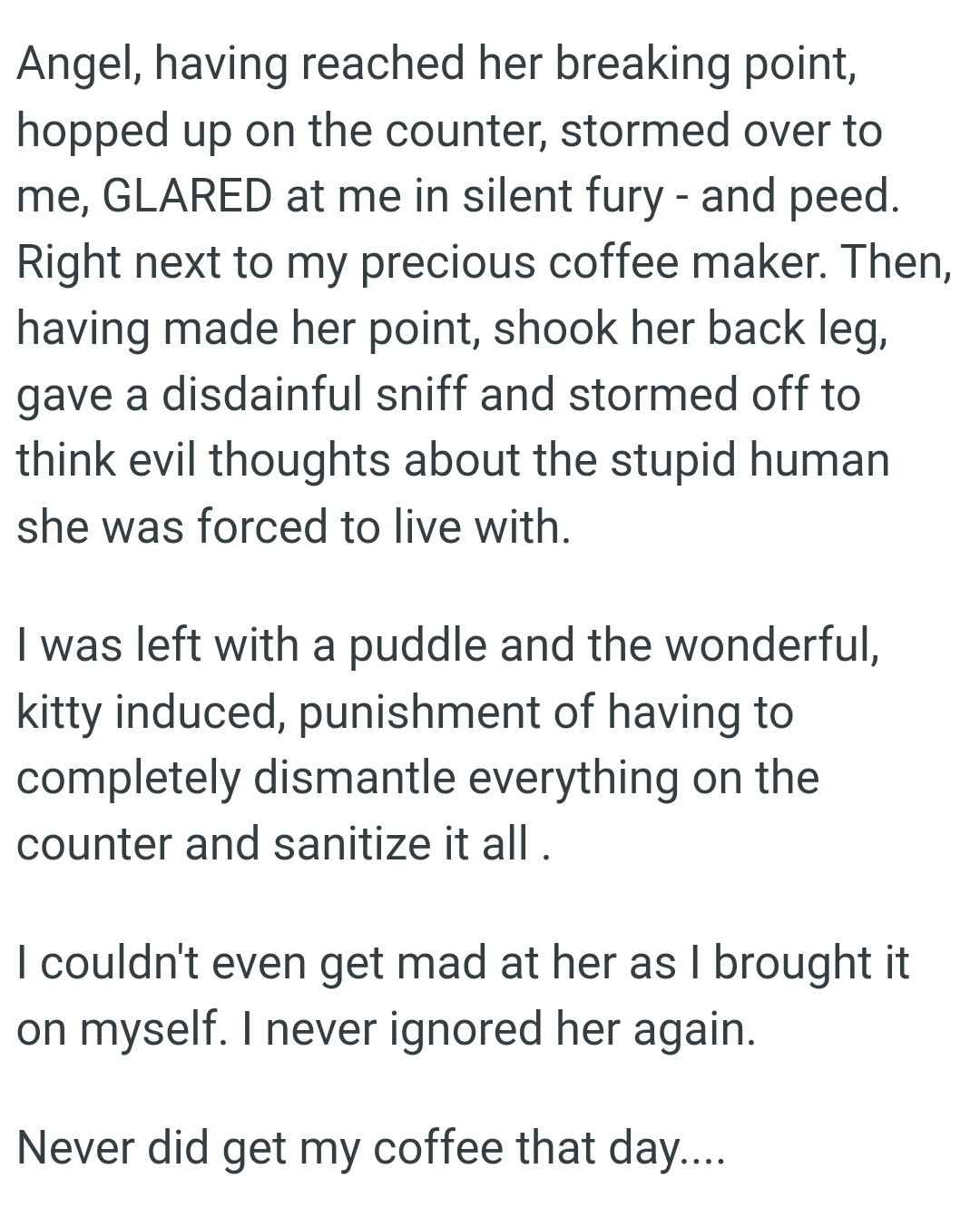 The cat stormed off to think evil thoughts about the stupid human she was forced to live with