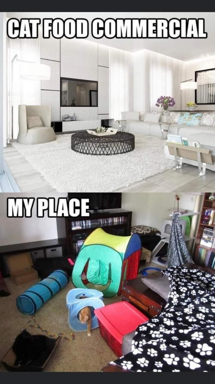 41. Spot the difference