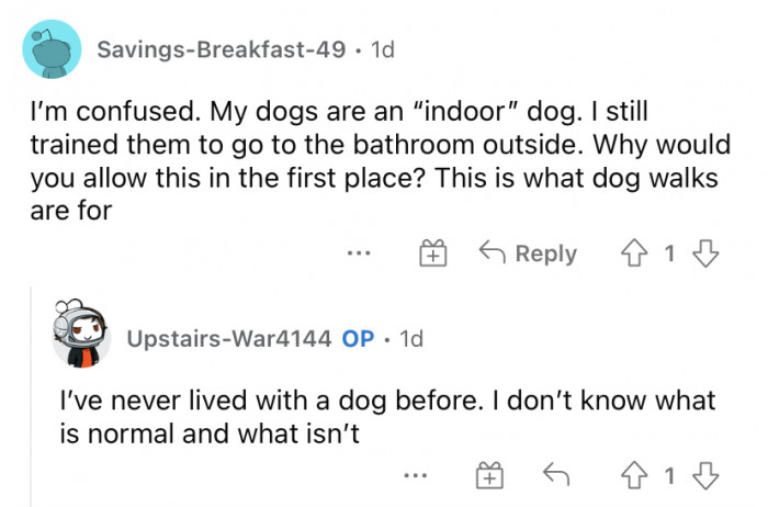 "This is what dog walks are for."