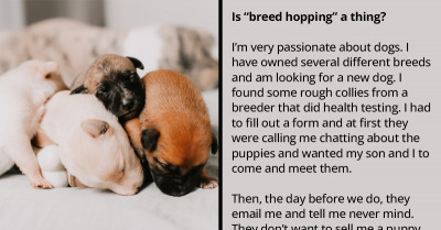 Is "Breed Hopping" A Thing? Reddit Knows The Answer
