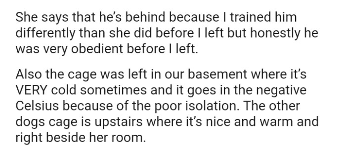 The Cage Belonging to the OP's Dog Was Left in the Basement