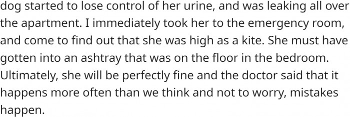 OP took it to the vet.