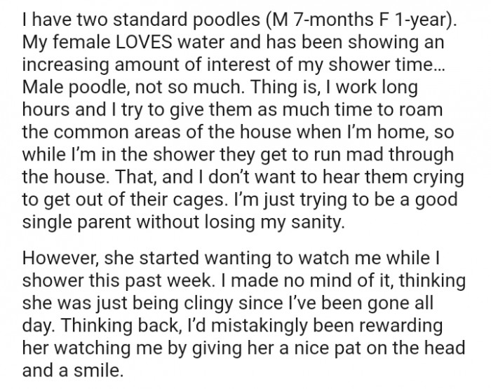 I Don't Want to Hear Them Crying