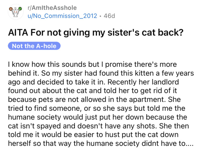 The OP shared a story about how her sister acted irresponsibly when she found a kitten a few years back.