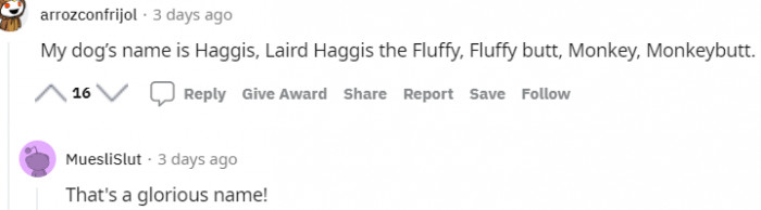 21. This dog's original name is Haggis, but now...