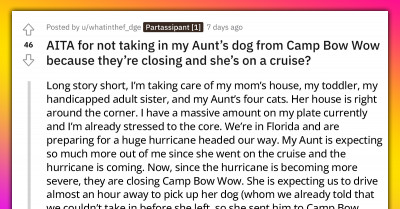 A Woman Is Guilt-Tripped By Her Aunt After Refusing To Pick Up Her Dog From Pet Care Despite Being Busy Preparing For A Hurricane
