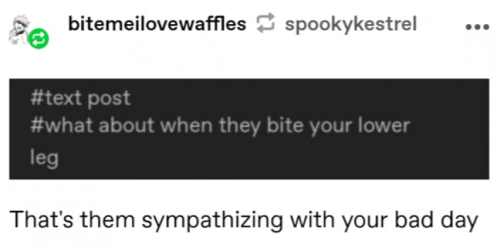 13. Biting your lower leg is them sympathizing with you