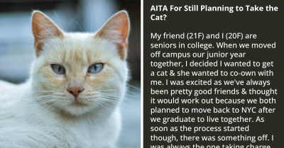 Redditors Wants To Move Out With The Cat That She Adopted With Her Friend