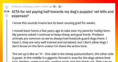 Drama Erupts After Guest Violated The Rules And Her Dog Got Impregnated By The Host’s Guard Dog