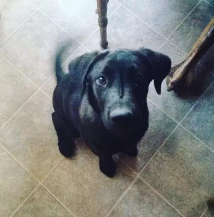 Bella's sweet gesture