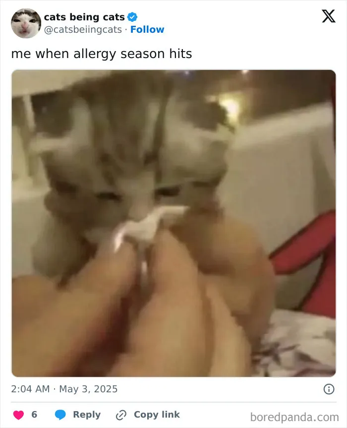 14. Just a sniffly little guy trying his best.