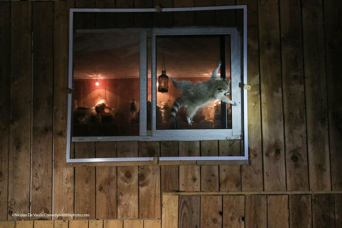 How Do You Get That Damn Window Open? By Nicolas De Vaulx