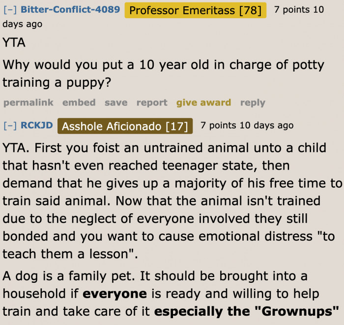 Once the parents decide to take a dog, it's the responsibility of the entire family. But most of that responsibility falls on the parents.