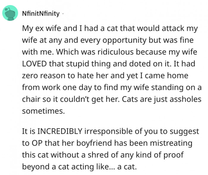 Cats can be weird sometimes