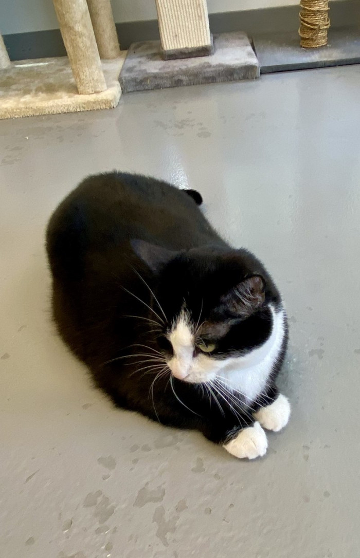 However, Bitty doesn't have to wait and wish anymore as she's plopped on the floor