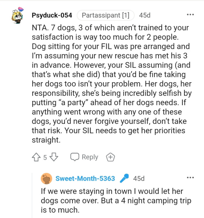 If anything happened to any of the dogs, OP would never forgive herself.