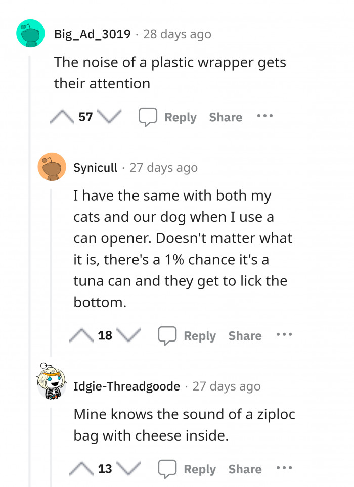 10. Wonder where they get that attitude.