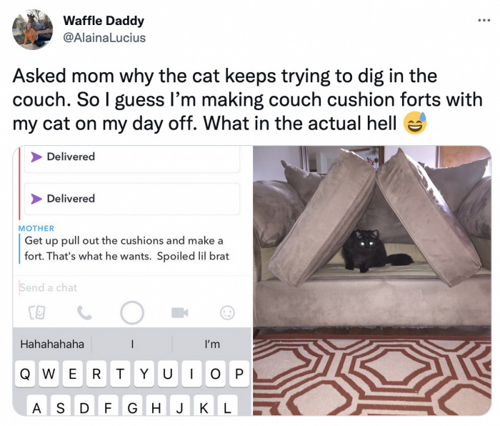 20. The only correct way to use couch cushions