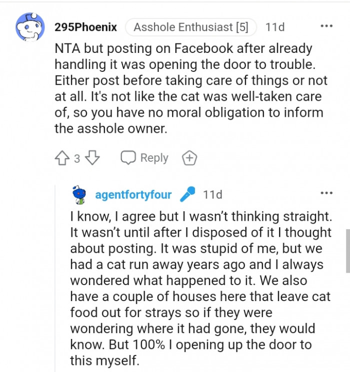 It's not like the cat was well taken care of.