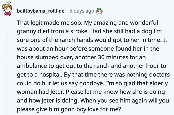 A commenter shared their own story about their grandma, who unfortunately died from a stroke. If the grandma still had her dog, she would have received help much faster.