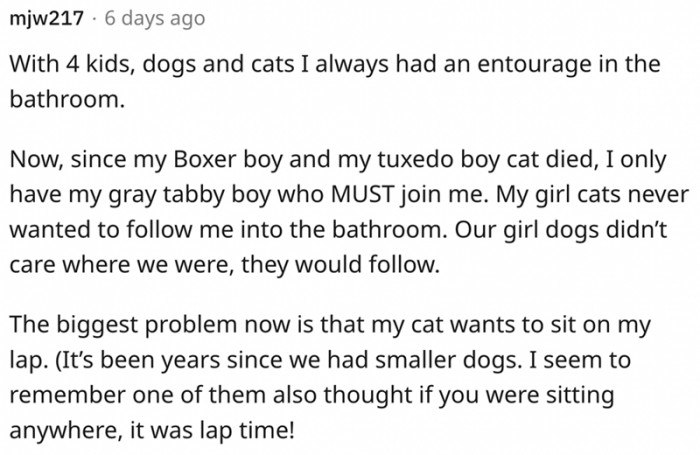 5. Even cats are not exempt.