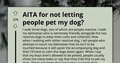 One Dalmatian, Two Reactive Dogs, And A Lot Of Judgmental Strangers: Why This Redditor Isn’t Budging When It Comes To Who Touches Their Furry Friends
