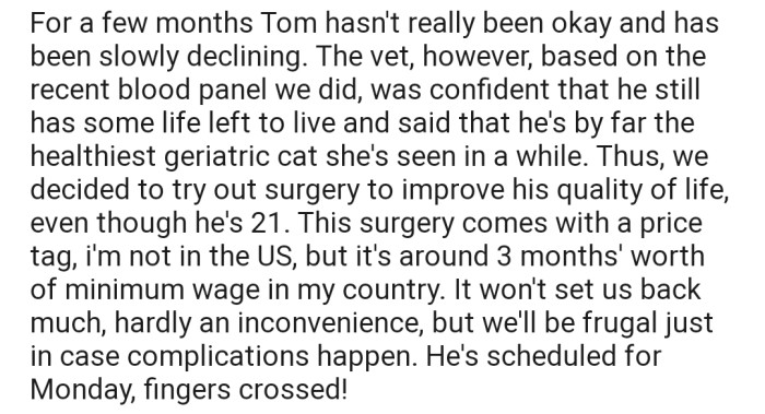 Unfortunately, OP's cat developed some health issues over time and was due for surgery in a few days
