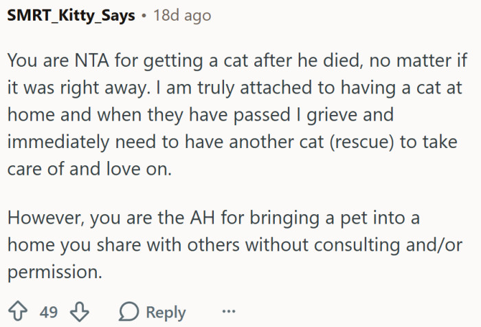 Not AH for wanting a cat, but...