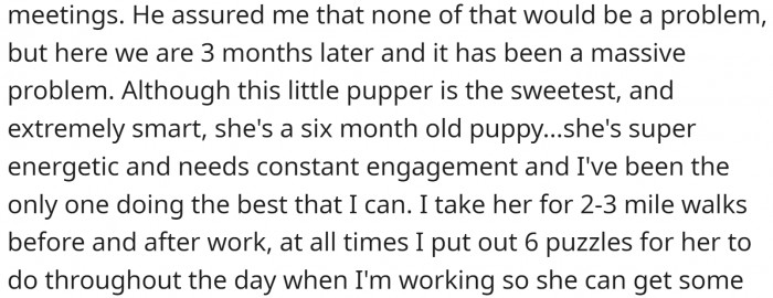 OP wasn't thrilled about the gift, but her husband promised to take care of the puppy. But that's not what's happening