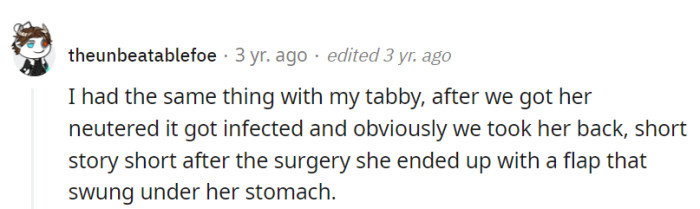 From neutering to superhero fashion, the tabby turned 