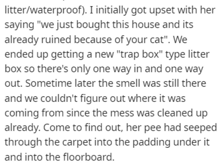 They bought a different type of litter box to deal with this issue, but they would soon realize that the problem was much bigger