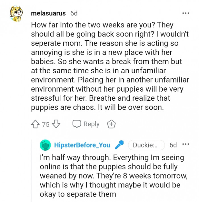 10. They should all be going back soon right?