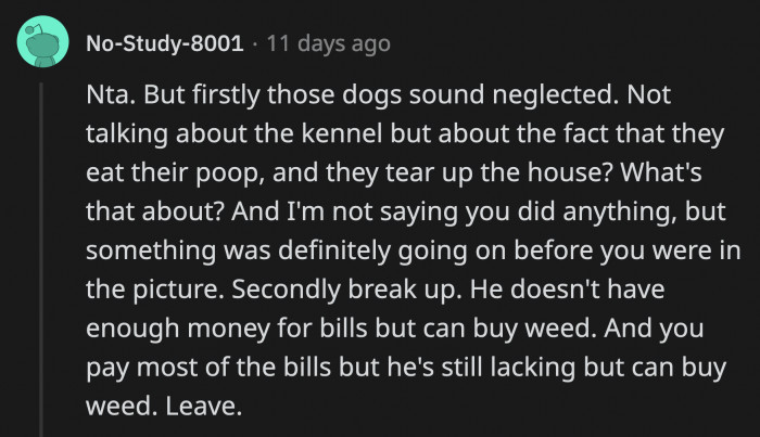 The dogs are not getting enough exercise or attention if they are acting out that much, and OP's boyfriend is bad with his money.