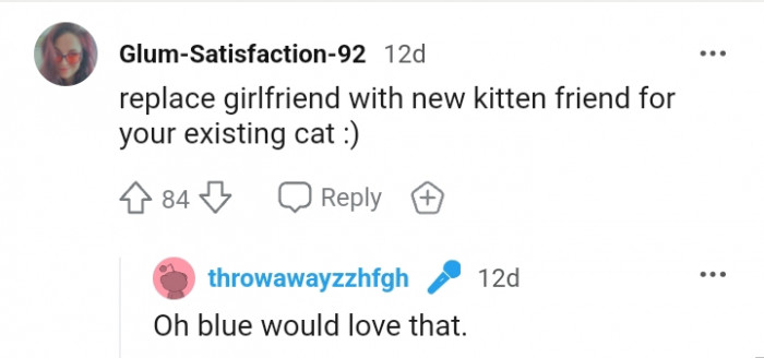 This Redditor is suggesting a kitty replacement