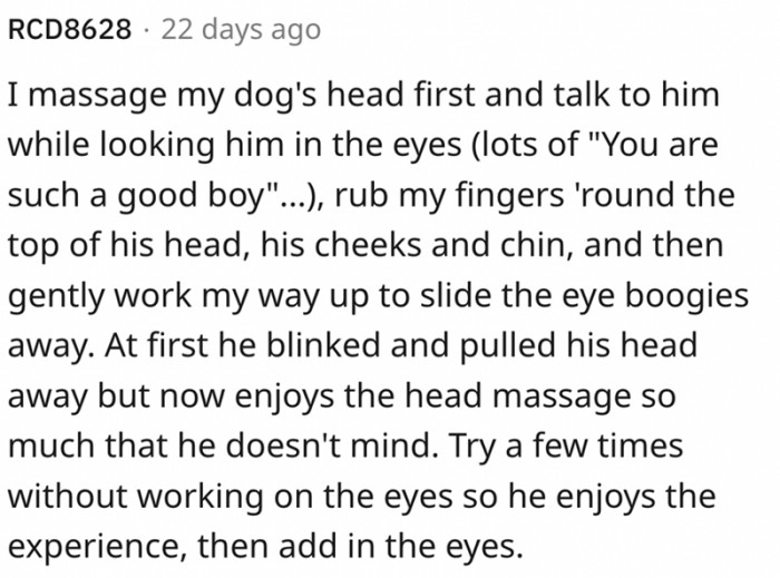 Doggo owners should pick a thing or two from this comment
