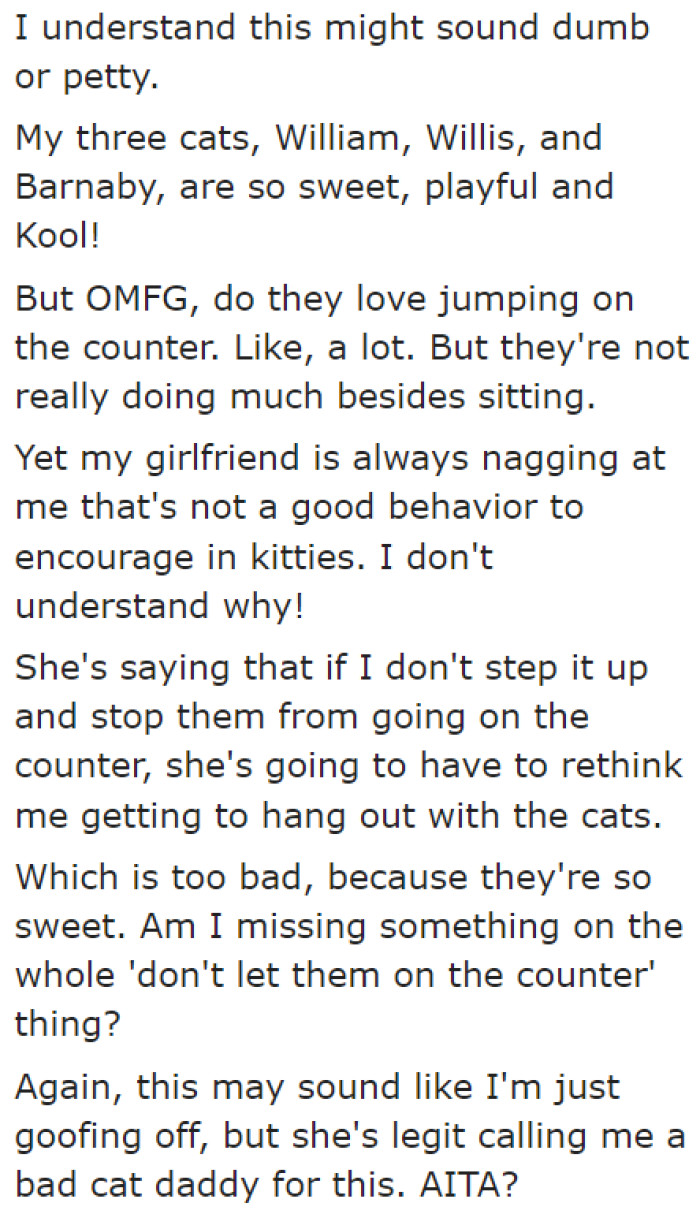 Much to his girlfriend's dismay, he loves seeing the cats jump on the counter.