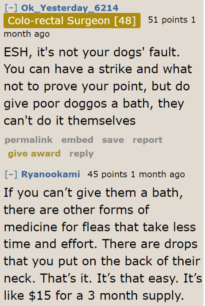 There are more ways to strike, but the dogs shouldn't be involved.