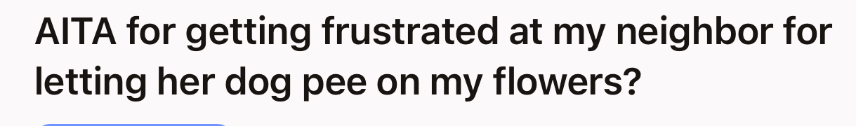 Let’s Dig into the Details