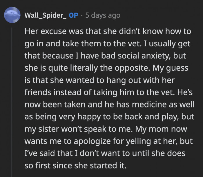 Kate Is Just Looking for an Excuse Instead of Doing the Responsible Thing Because She Knows OP Cares About the Dog Too Much to Not Take Him to the Vet