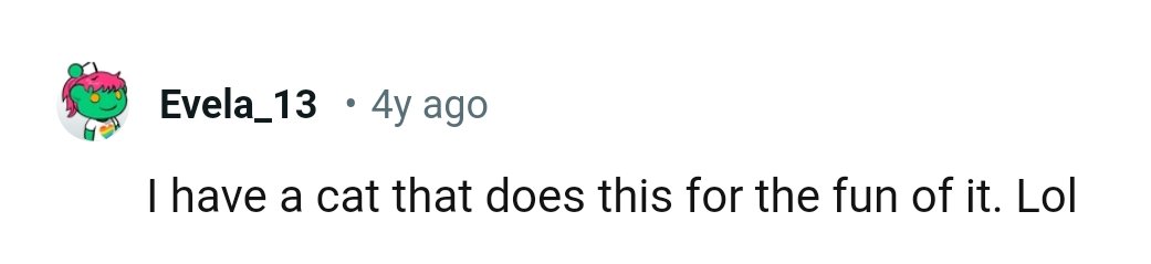 This Redditor's cat does that just for fun