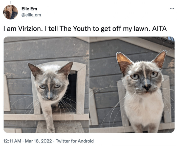 9. It's your lawn after all