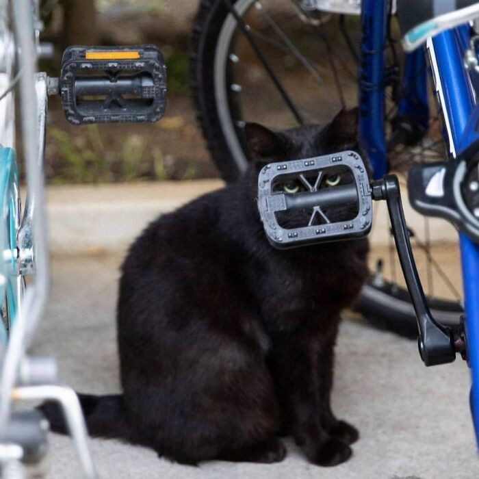 Photo By Okira Kuoki